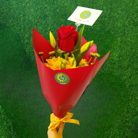 Amor Corazón