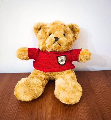 Oso con Chompa Roja