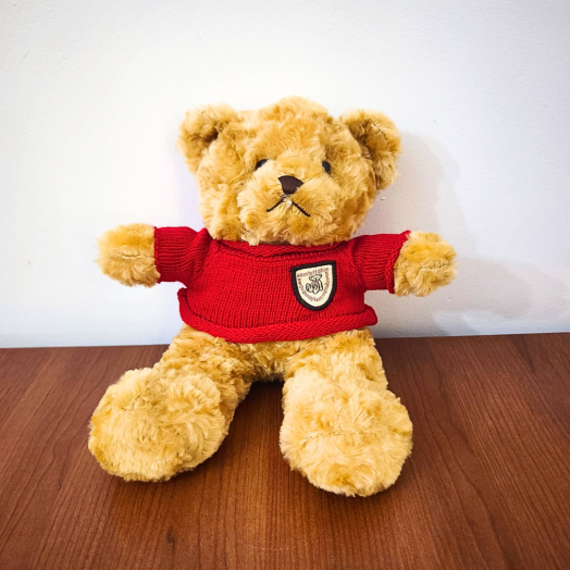 Oso con Chompa Roja
