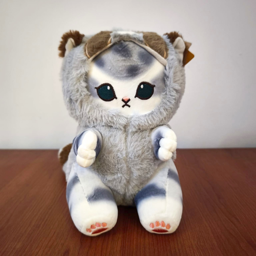 Gato con disfraz de Mapache