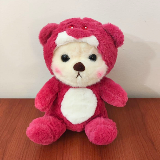 Osito con disfraz de Oso Lotso