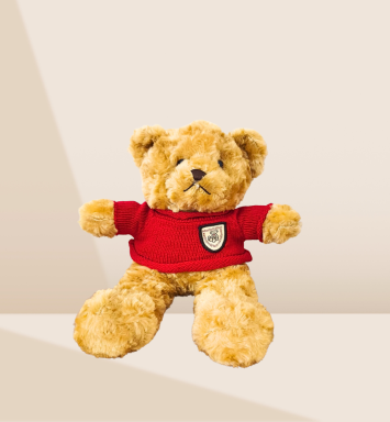 Peluche Oso Chompa Roja
