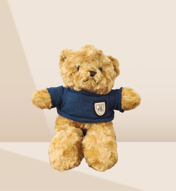 Peluche Oso Chompa Gris