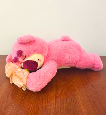 Osito Lotso durmiendo