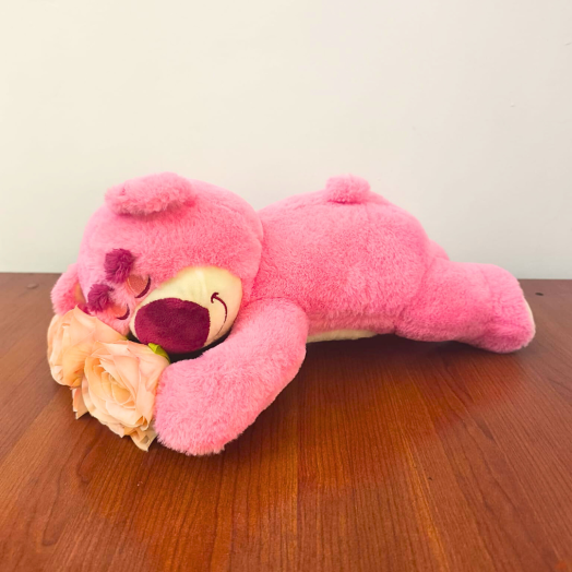 Osito Lotso durmiendo