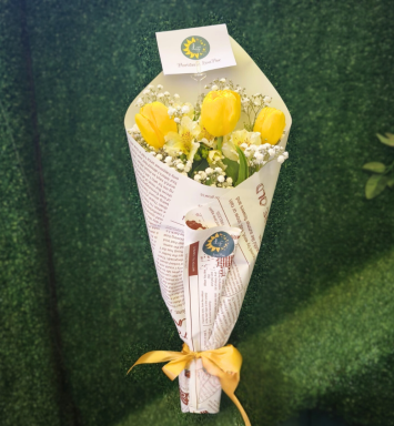 Tulipanes Radiantes