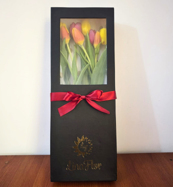 Encanto de Tulipanes