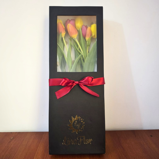 Encanto de Tulipanes