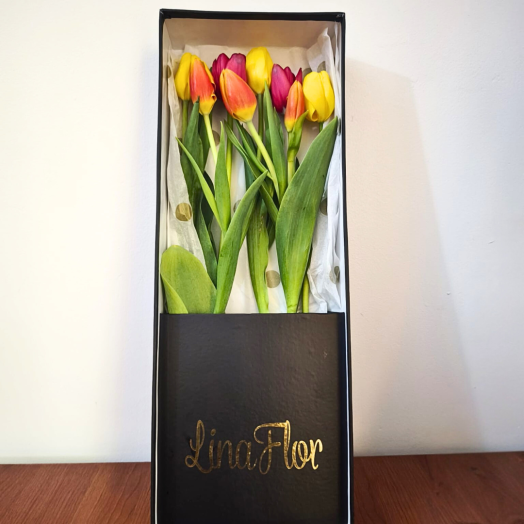 Encanto de Tulipanes - Imagen 2