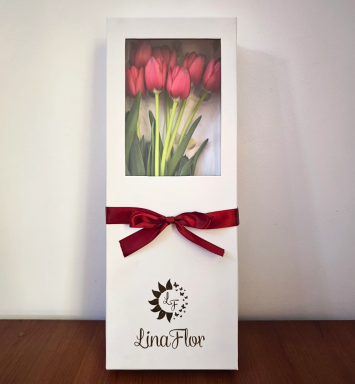 Tulipanes Amor en Blanco
