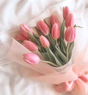 Sueño de Tulipanes