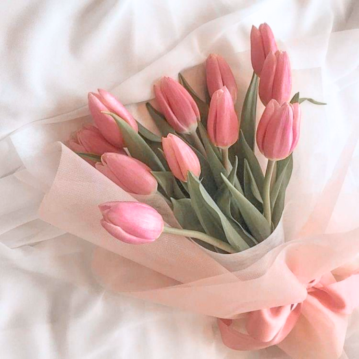 Sueño de Tulipanes