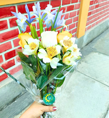 Iris con alegría