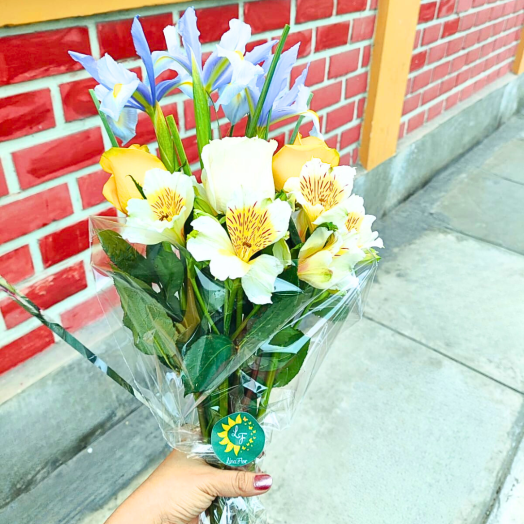 Iris con alegría