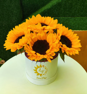 Brilla con Girasoles