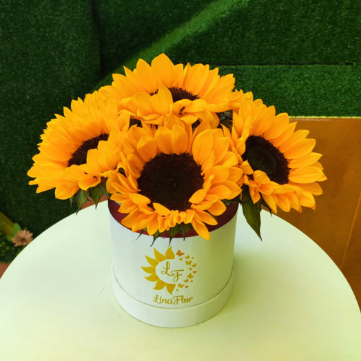Brilla con Girasoles