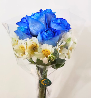 Encanto Azul