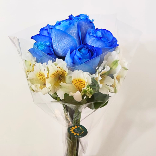 Encanto Azul