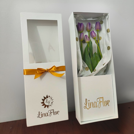 Tulipanes Elegancia Púrpura