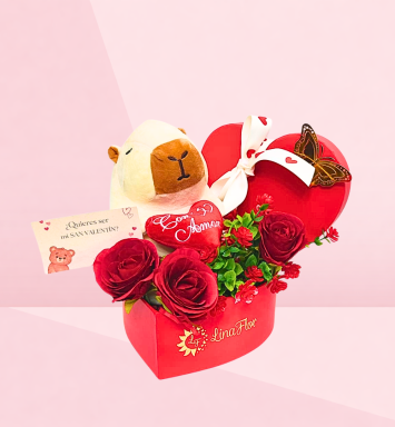 Capibara Valentín