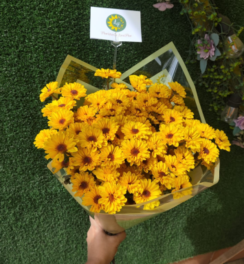 Encanto de Margarita